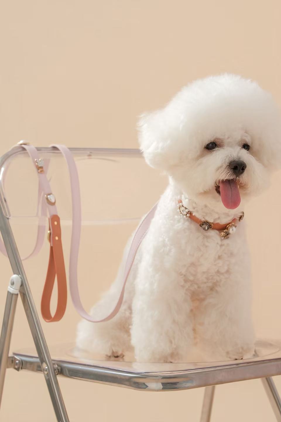Tailory Faux Leather Pet Leash – Stylish and Durable with Decorative Button Design