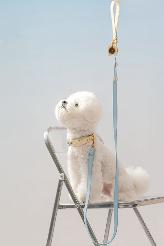 Tailory Faux Leather Pet Leash – Stylish and Durable with Decorative Button Design