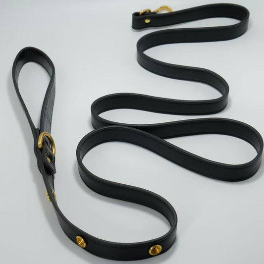 Tailory Faux Leather Pet Leash – Stylish and Durable with Decorative Button Design