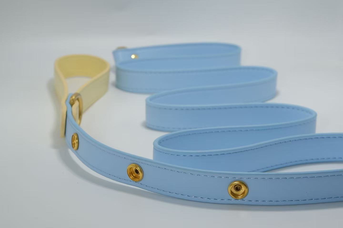 Tailory Faux Leather Pet Leash – Stylish and Durable with Decorative Button Design