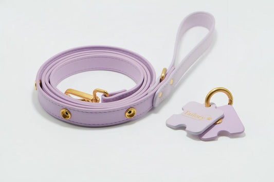 Tailory Faux Leather Pet Leash – Stylish and Durable with Decorative Button Design