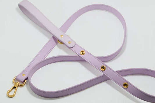 Tailory Faux Leather Pet Leash – Stylish and Durable with Decorative Button Design