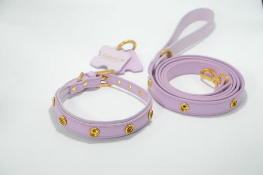 Tailory Customizable Eco-Friendly Leather Collar & Leash Set with Detachable  Charms