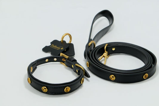 Tailory Customizable Eco-Friendly Leather Collar & Leash Set with Detachable Charms