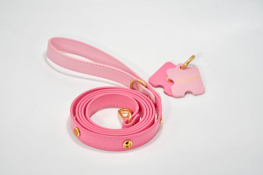 Tailory Faux Leather Pet Leash – Stylish and Durable with Decorative Button Design