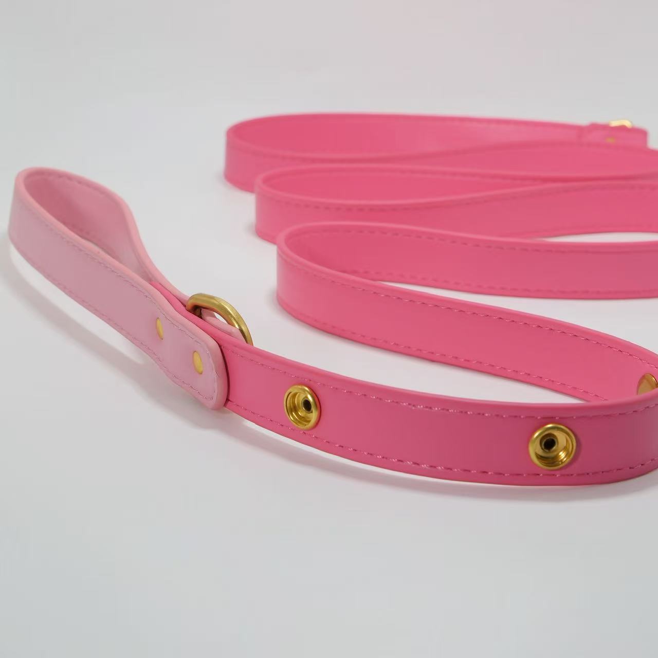 Tailory Faux Leather Pet Leash – Stylish and Durable with Decorative Button Design