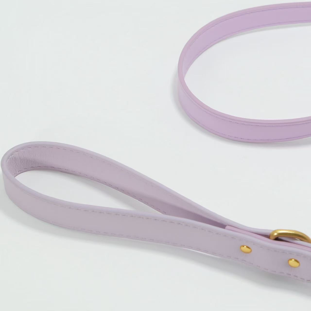 Tailory Faux Leather Pet Leash – Stylish and Durable with Decorative Button Design