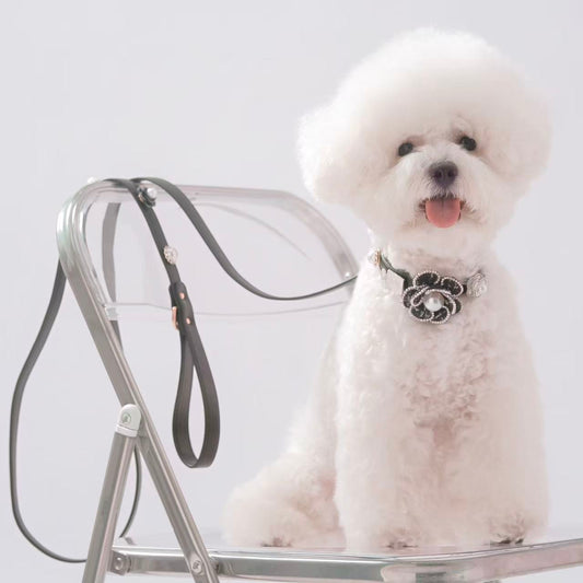 Tailory Customizable Eco-Friendly Leather Collar & Leash Set with Detachable Charms
