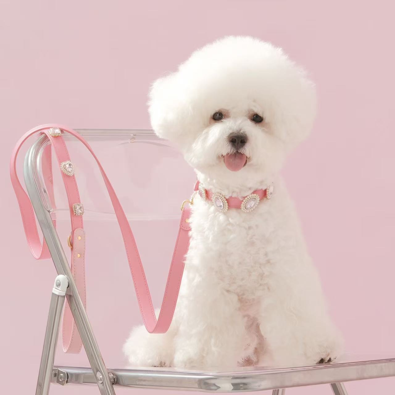 Tailory Customizable Eco-Friendly Leather Collar & Leash Set with Detachable Charms