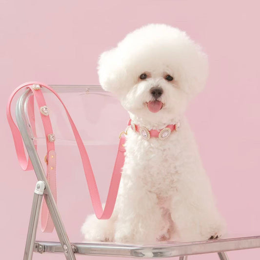 Tailory Customizable Eco-Friendly Leather Collar & Leash Set with Detachable Charms