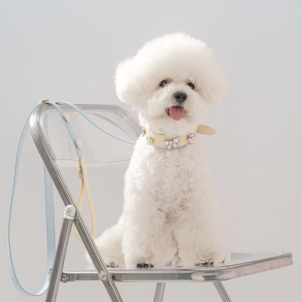 Tailory Customizable Eco-Friendly Leather Collar & Leash Set with Detachable Charms