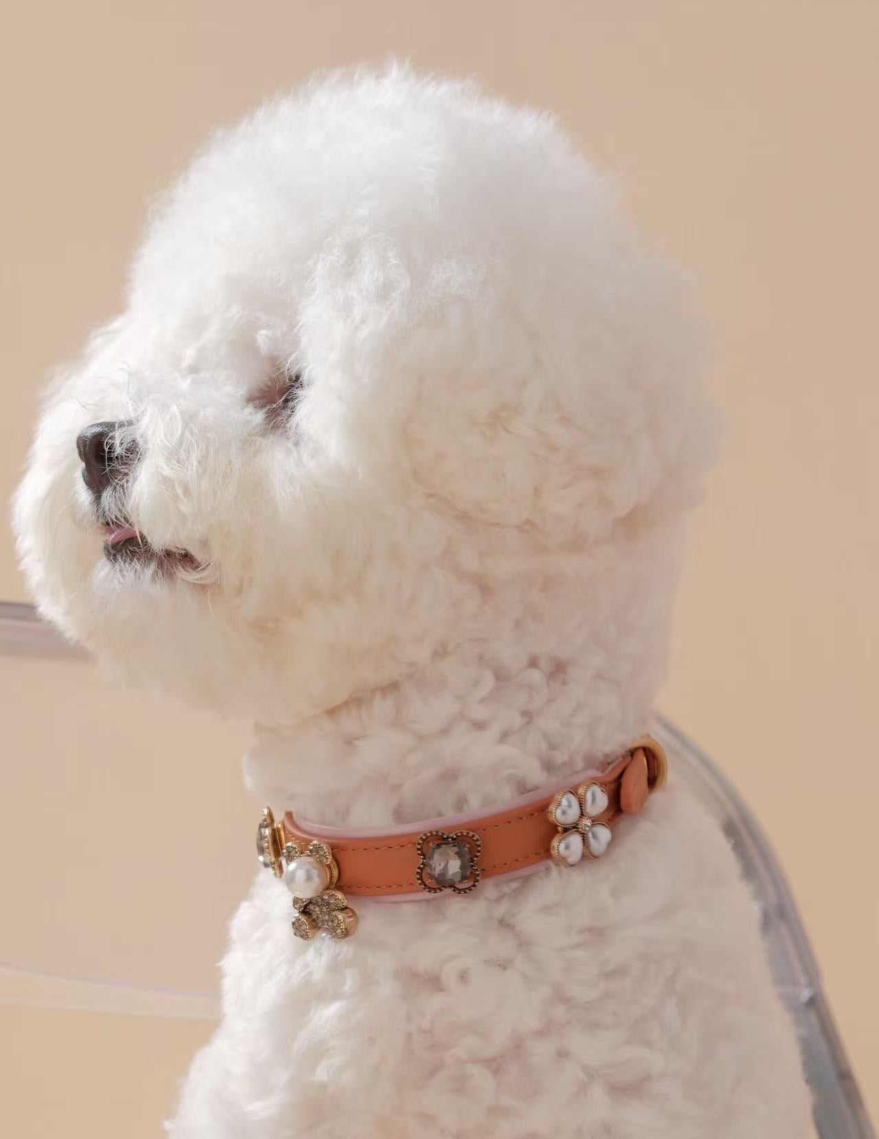 Classic Brown Base Collar – Customizable & Chic
