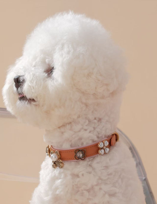 Classic Brown Base Collar – Customizable & Chic