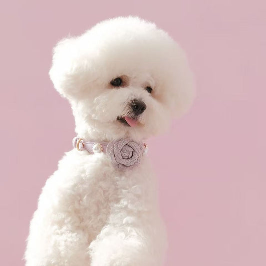 Classic lilac Base Collar – Customizable & Chic