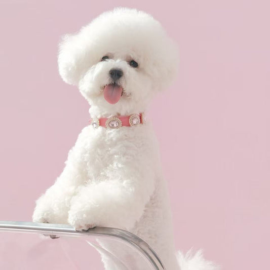Classic Pink Base Collar – Customizable & Chic