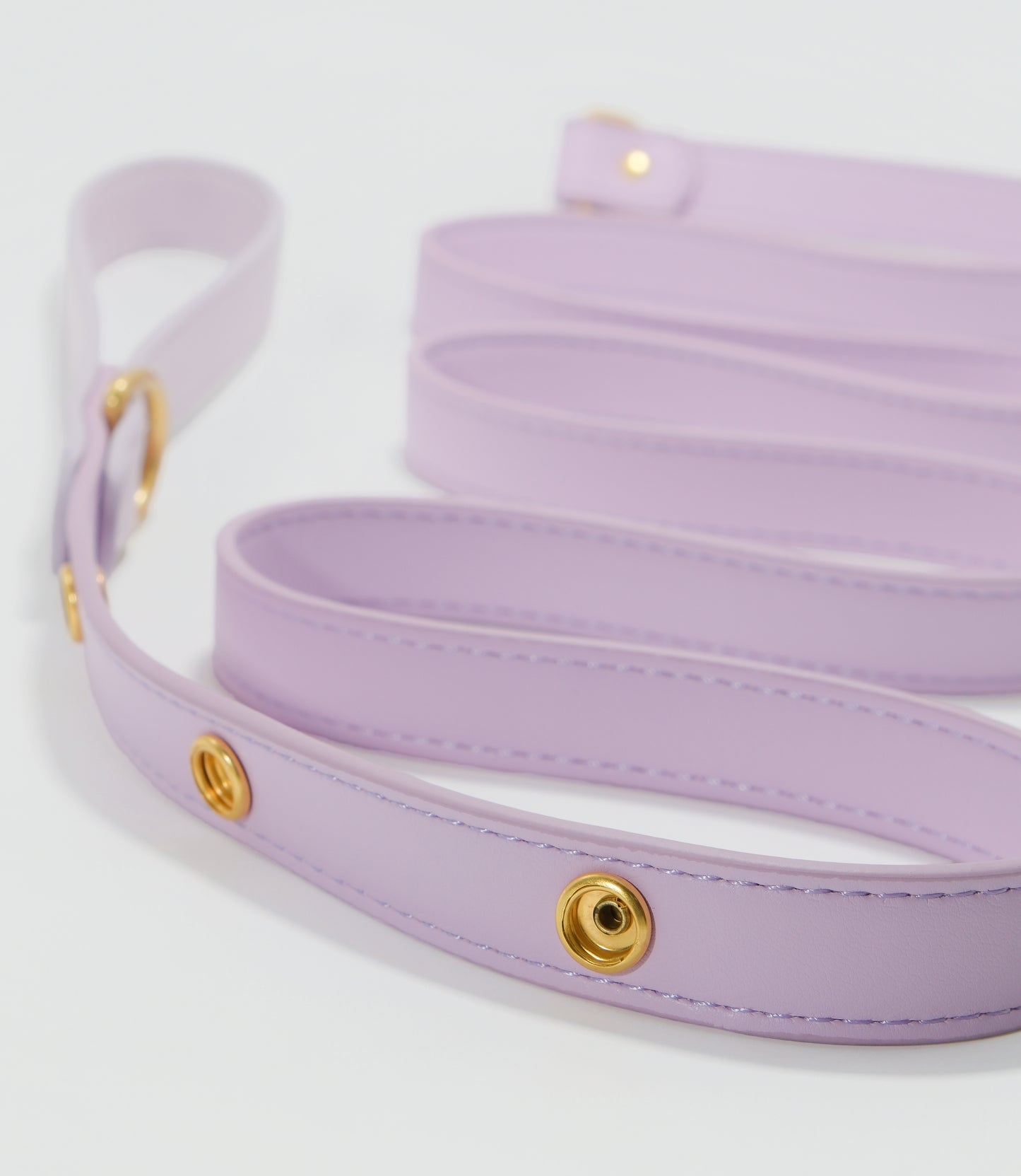 Tailory Faux Leather Pet Leash – Stylish and Durable with Decorative Button Design
