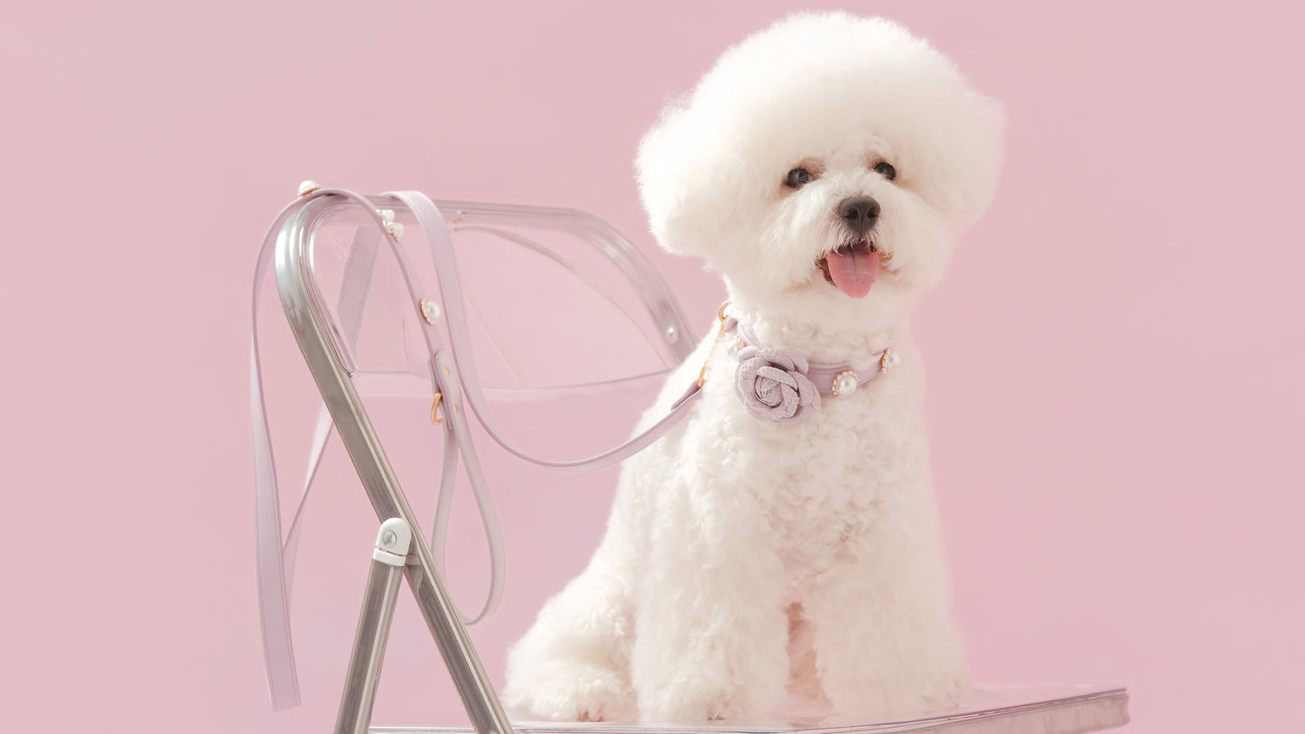 Tailory Customizable Eco-Friendly Leather Collar & Leash Set with Detachable  Charms
