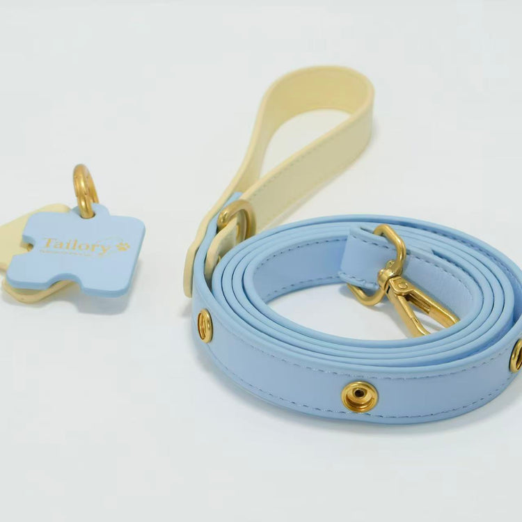 Leashes Collection – Walks Made Stylish