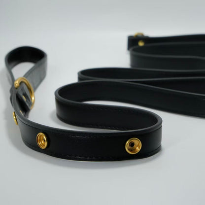 Tailory Faux Leather Pet Leash – Stylish and Durable with Decorative Button Design