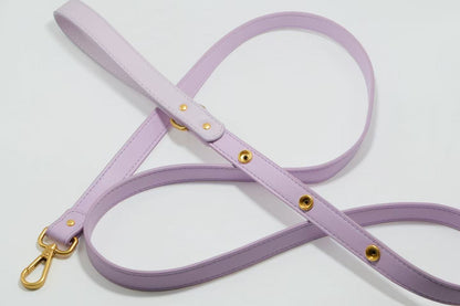 Tailory Faux Leather Pet Leash – Stylish and Durable with Decorative Button Design