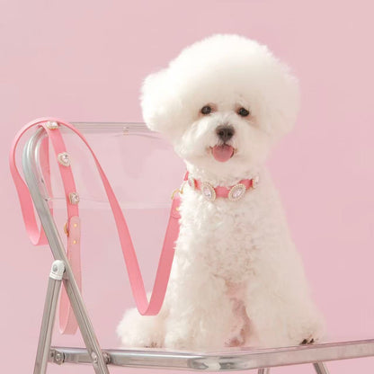 Tailory Customizable Eco-Friendly Leather Collar &amp; Leash Set with Detachable Charms