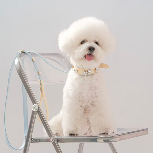Tailory Customizable Eco-Friendly Leather Collar & Leash Set with Detachable Charms