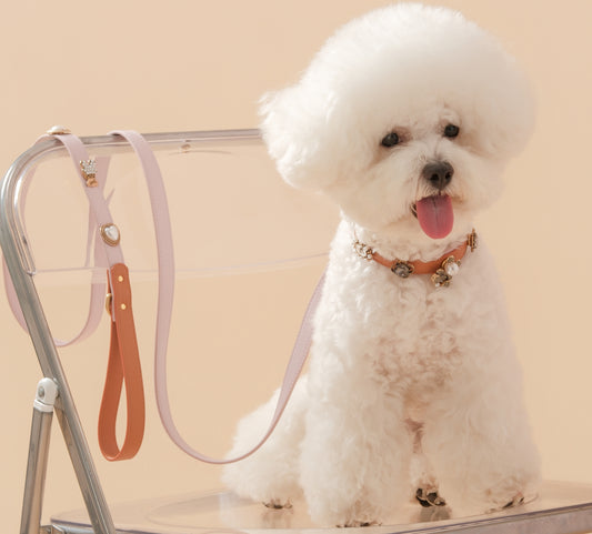 Tailory Customizable Eco-Friendly Leather Collar & Leash Set with Detachable Charms