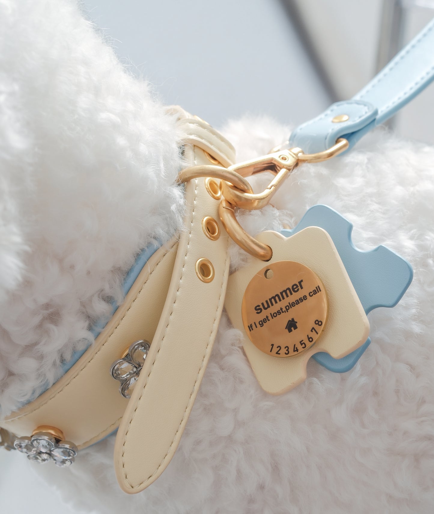 PET ID TAG