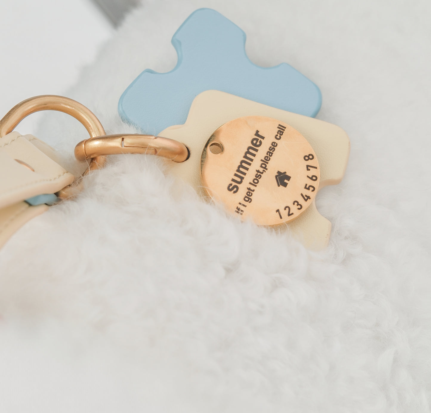 PET ID TAG